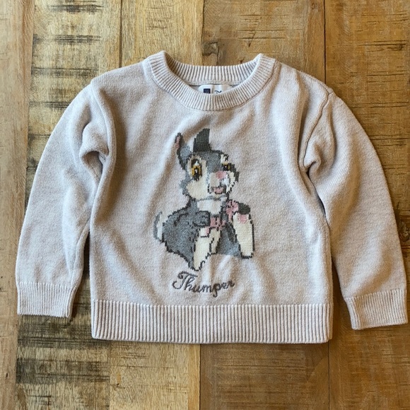 GAP Other - Gap Thumper sweater 2yr